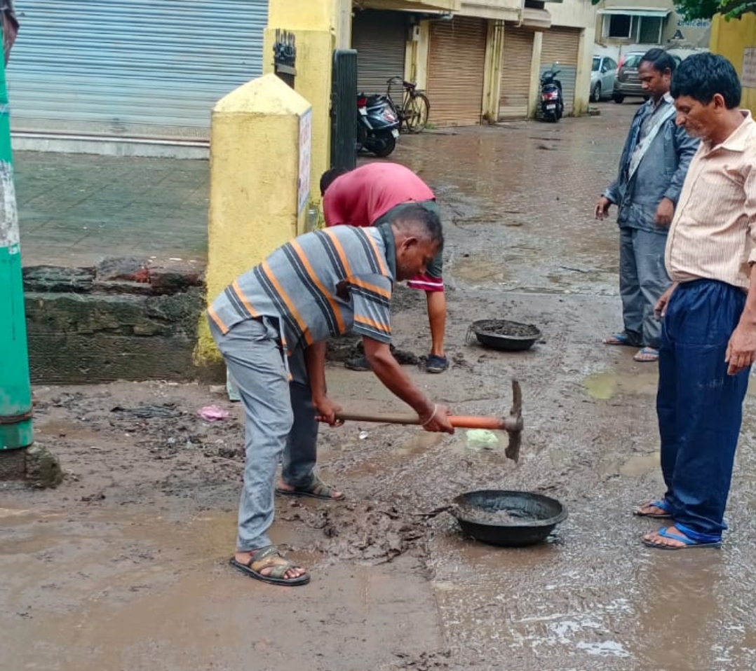 નવસારી-વિજલપોર નગરપાલિકા દ્વારા સફાઇ ઝુંબેશ અભિયાન હાથ ધરાયું 