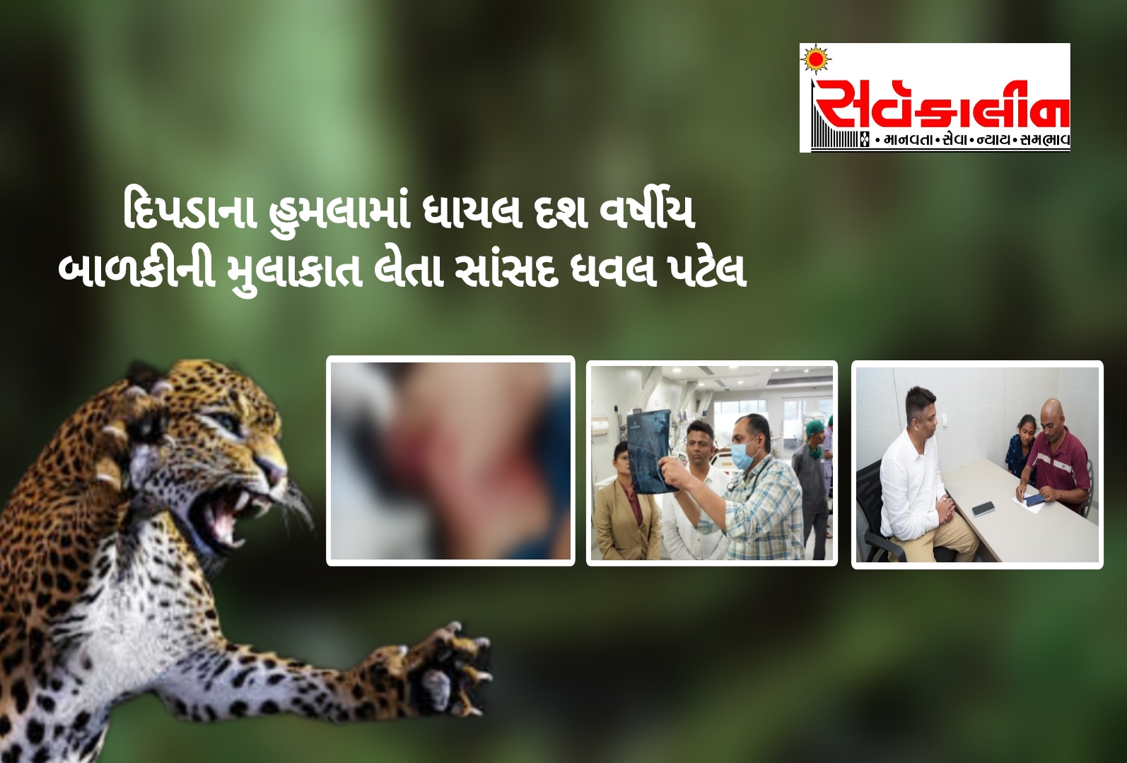 વાંસદાના મોટી વાલઝર દિપડાના હુમલામાં ઘાયલ દશ વર્ષીય બાળકી ની સાંસદ ધવલ પટેલ મુલાકાત લીધી,પરિવાર બનતી તમામ મદદ કરવાની બાહેંધરી આપી