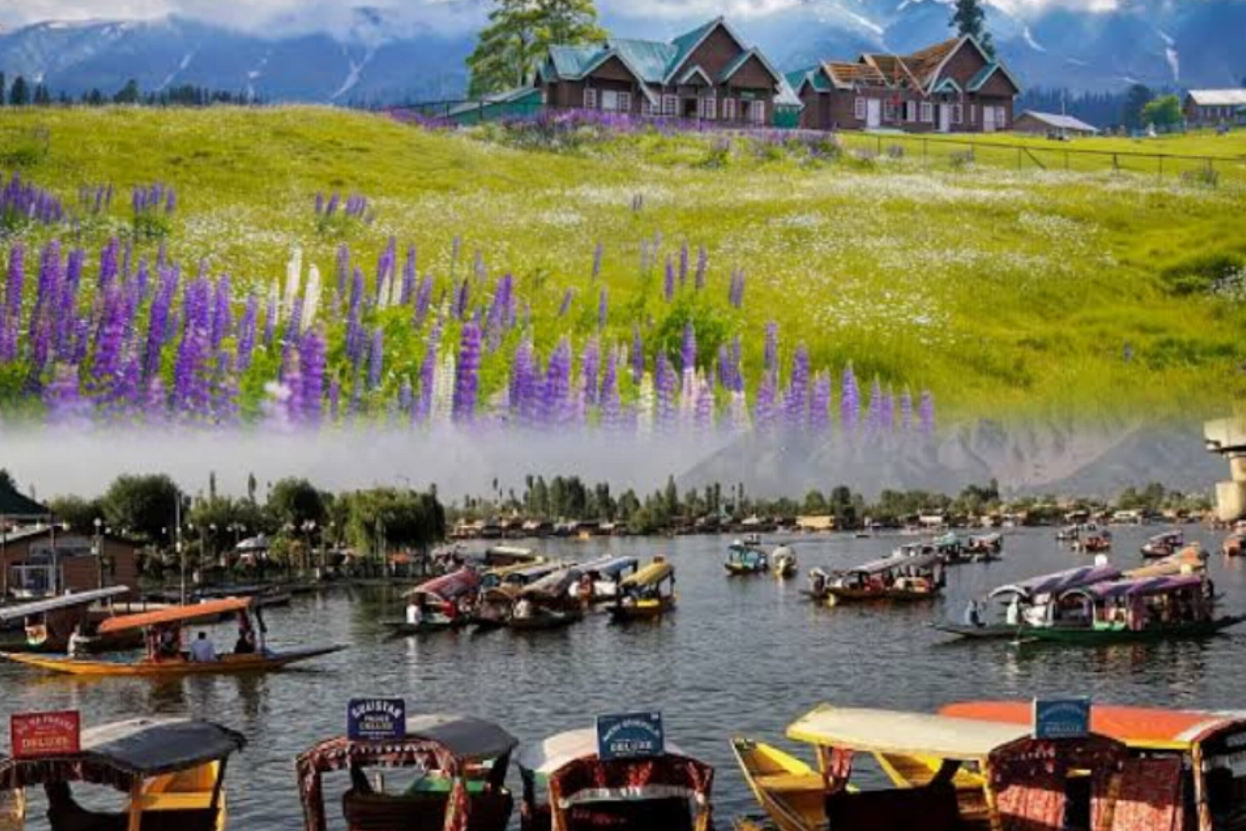 કાશ્મીરમાં આતંકવાદી હુમલા બાદ મોટી સંખ્યામાં ટ્રાવેલ બુકિંગ રદ થઈ રહ્યા છે, ફ્લાઇટ રદ થવામાં 7 ગણો વધારો થયો છે. આતંકવાદી હુમલા બાદ મોટી સંખ્યામાં ટ્રાવેલ બુકિંગ રદ થઈ રહ્યા છે, ફ્લાઇટ રદ થવાના બનાવોમાં 7 ગણો વધારો થયો છે.