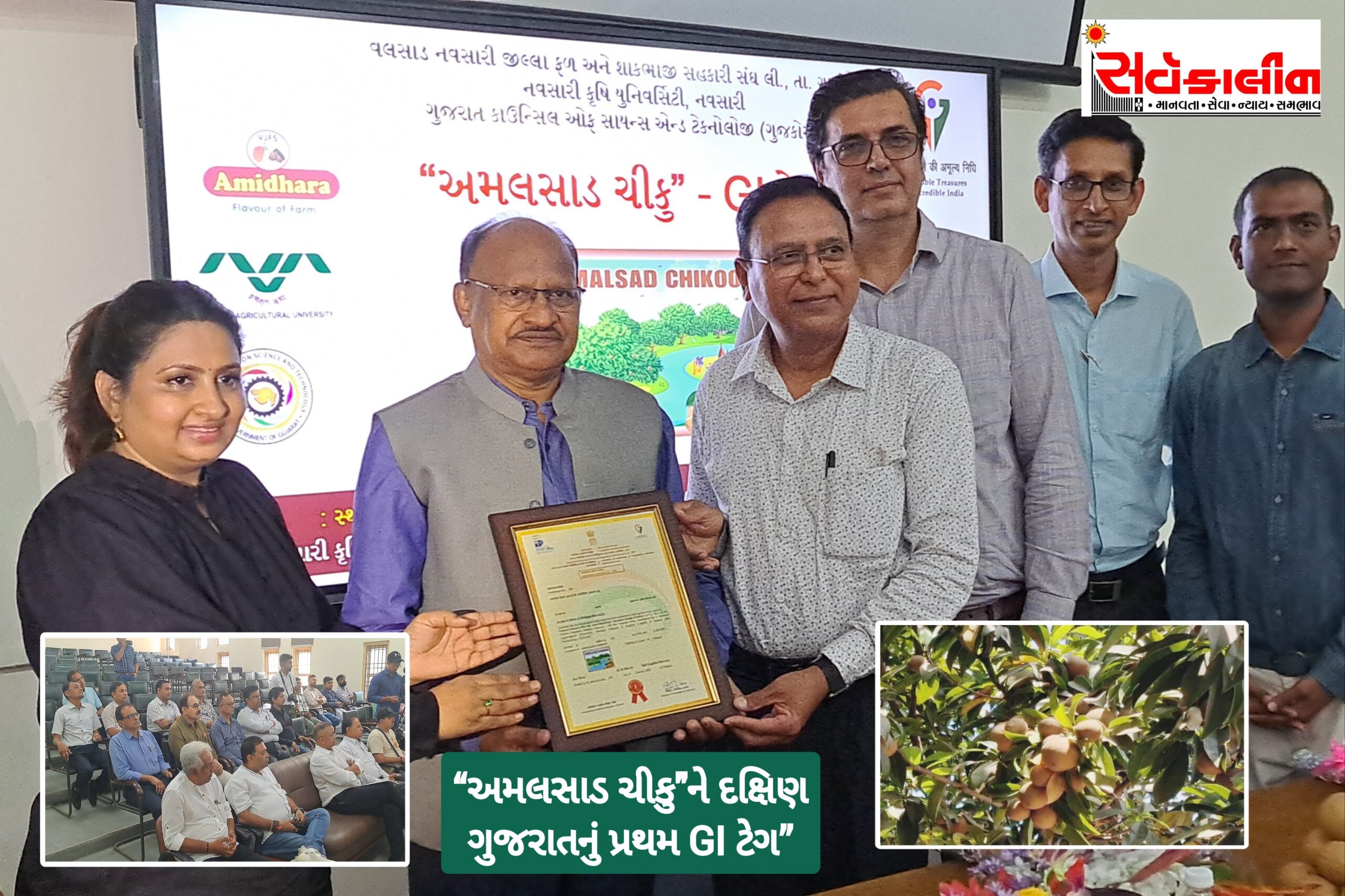 નવસારી જિલ્લાના “અમલસાડ ચીકુને મળી મોટી સિદ્ધિ” દક્ષિણ ગુજરાતને પ્રથમ GI ટેગ મળ્યો,હવે આંતરરાષ્ટ્રીય બજારો માં પણ નવસારીના ચીકુ વેચાણ થશે