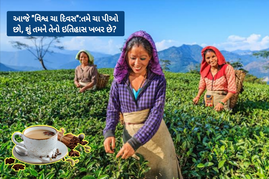 આંતરરાષ્ટ્રીય ચા દિવસ: ફક્ત 21 મે ના રોજ જ કેમ ઉજવવામાં આવે છે?
