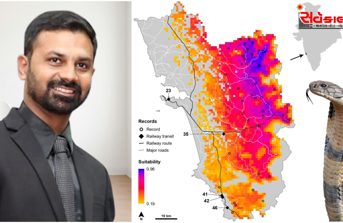 ટ્રેનમાં મુસાફરી કરે છે કિંગ કોબ્રા? વૈજ્ઞાનિક અભ્યાસે ખુલાસો કર્યો