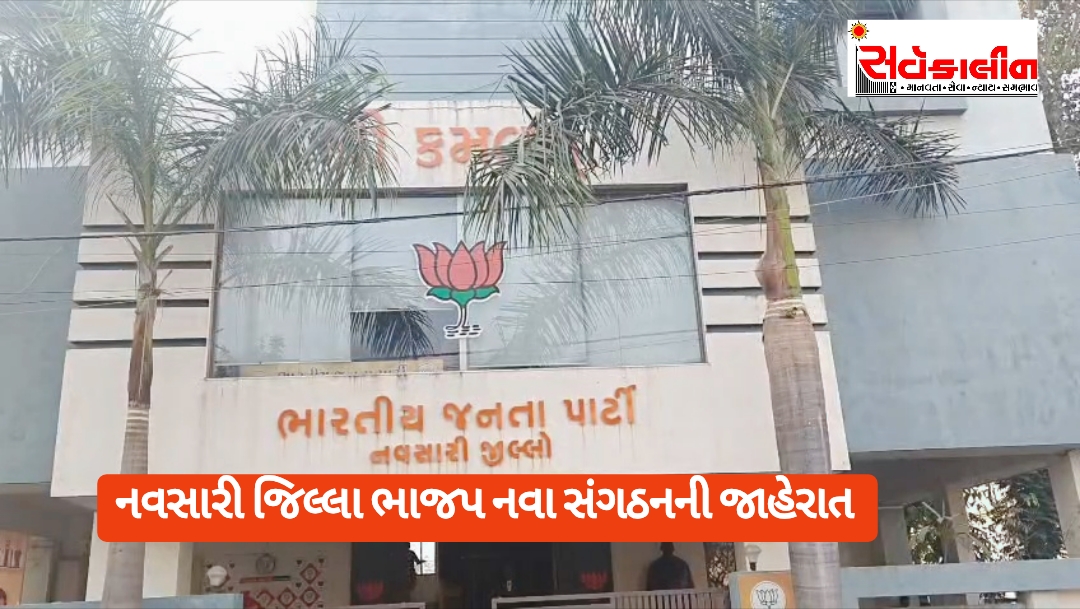 નવસારી જિલ્લા ભાજપના નવા સંગઠન માળખાની સત્તાવાર જાહેરાત: જુઓ લિસ્ટ