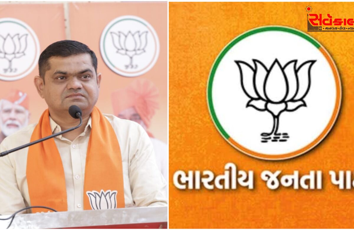 જીગર નાયકની નવસારી જિલ્લા ભાજપના સોશિયલ મીડિયા ઇન્ચાર્જ તરીકે નિમણૂંક કરાઈ 