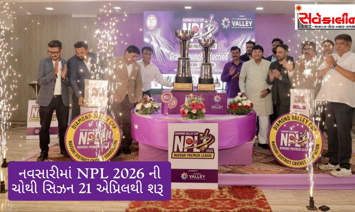 નવસારી ક્રિકેટ ફીવર:NDCA દ્વારા ‘નવસારી પ્રીમિયર લીગ’ની ચોથી સીઝનનો ગાંધી કોલેજ ખાતે ભવ્ય પ્રારંભ થશે