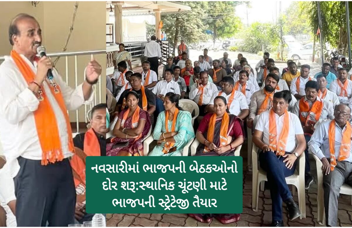 સ્થાનિક સ્વરાજની ચૂંટણીને લઈને નવસારી જિલ્લા ભાજપ સજ્જ માઇક્રો લેવલ પ્લાનિંગ સાથે બેઠકઓનો દોડ શરૂ